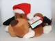 singender_hund-small.jpg